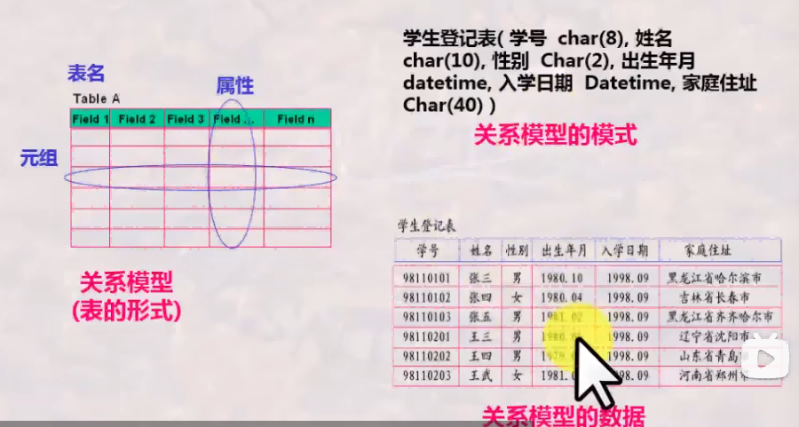 关系模型示例